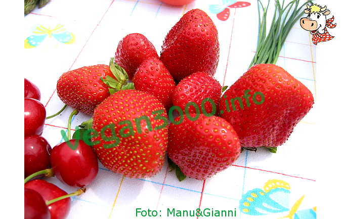 Foto numero 1 della ricetta Gazpacho con le fragole