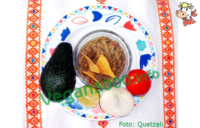 Foto numero 1 della ricetta Guacamole (1)