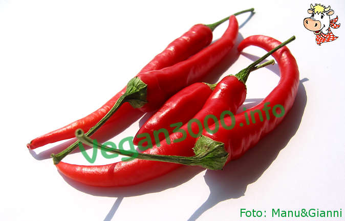 Foto numero 1 della ricetta Spicy sauce