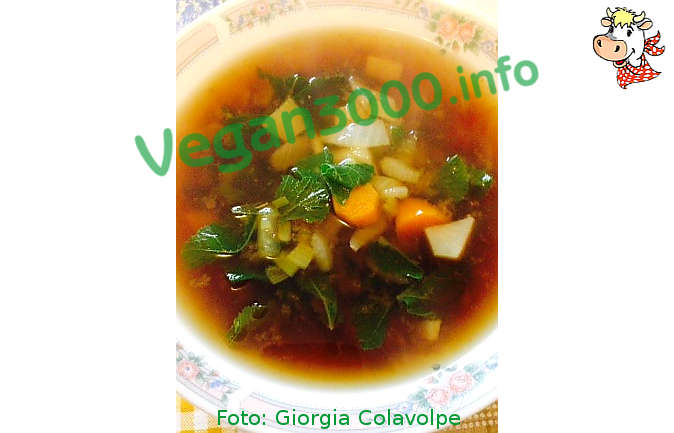 https://www.vegan3000.info/foto/Foto-382-00.jpg