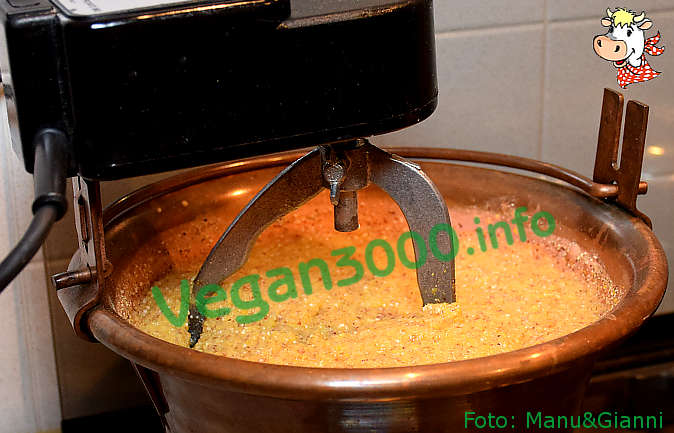 Foto numero 1 della ricetta Polenta con sugo di seitan e topinambur