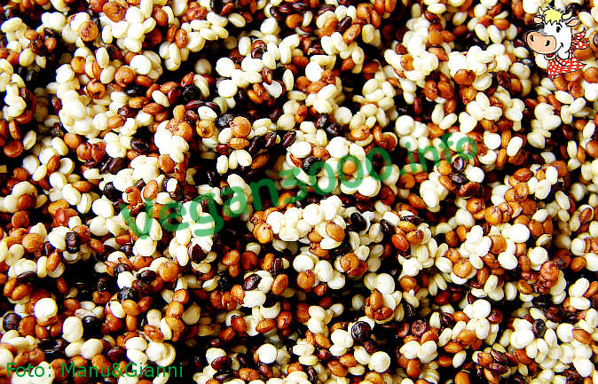 Foto numero 4 della ricetta Sformato di quinoa alle verdure di stagione