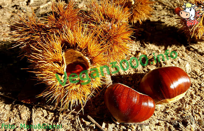 Foto numero 1 della ricetta Risotto with chestnuts